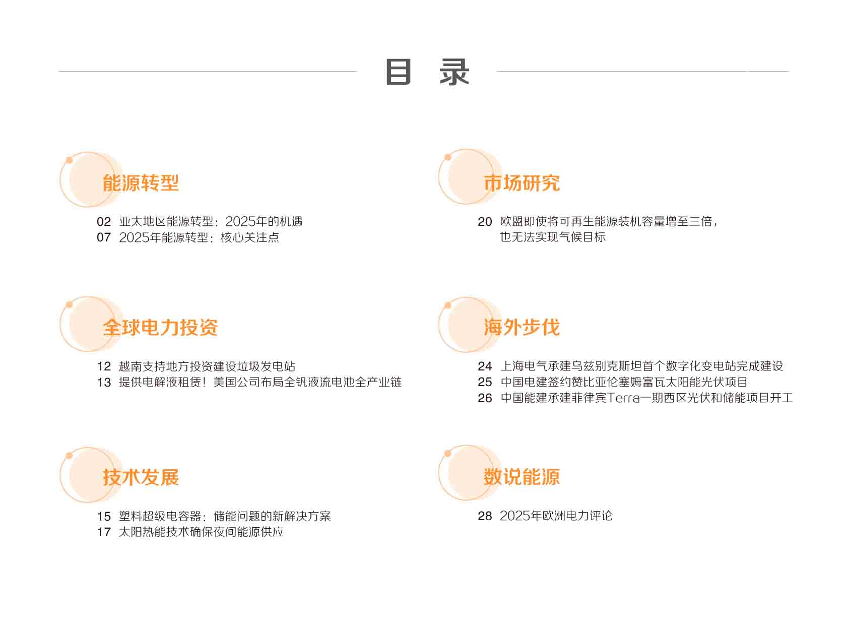 《电力国际信息参考》2025年2月上-3.jpg