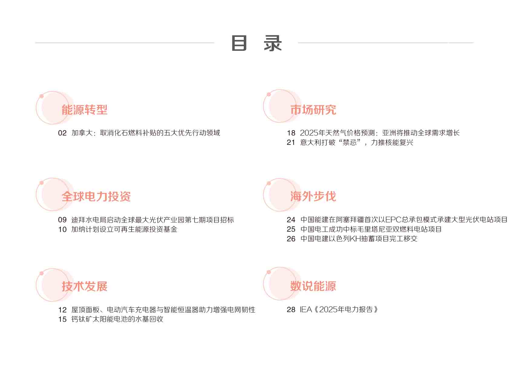 《电力国际信息参考》2025年3月上-3.jpg