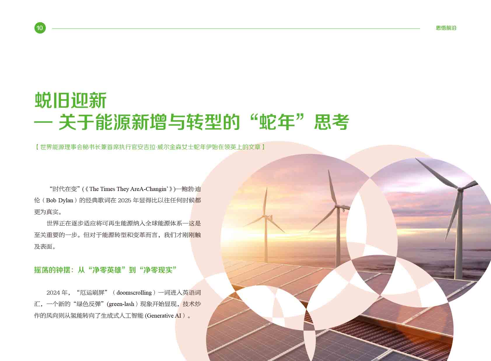 《电力国际信息参考》2025年2月下-13.jpg