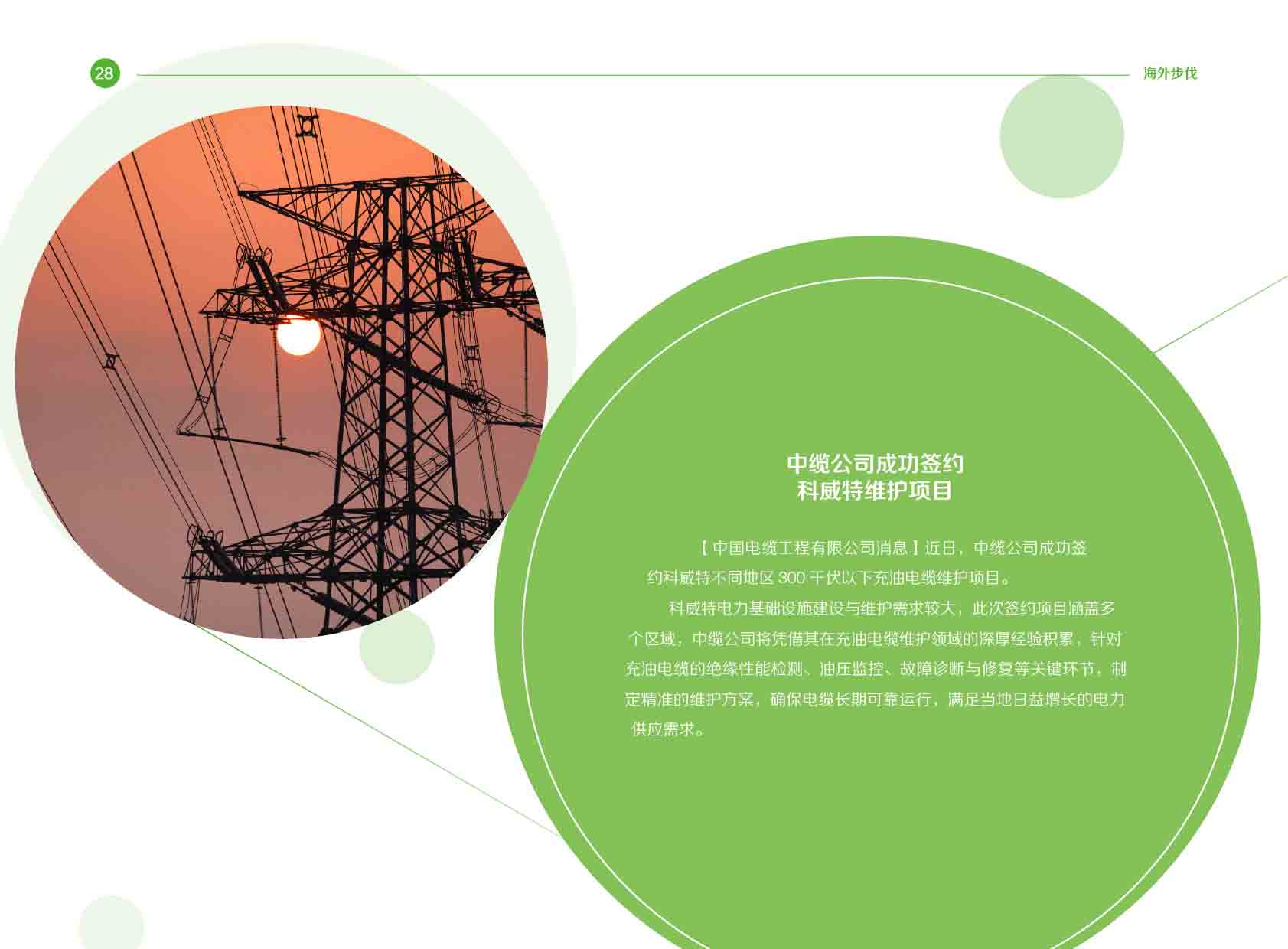 《电力国际信息参考》2025年2月下-31.jpg