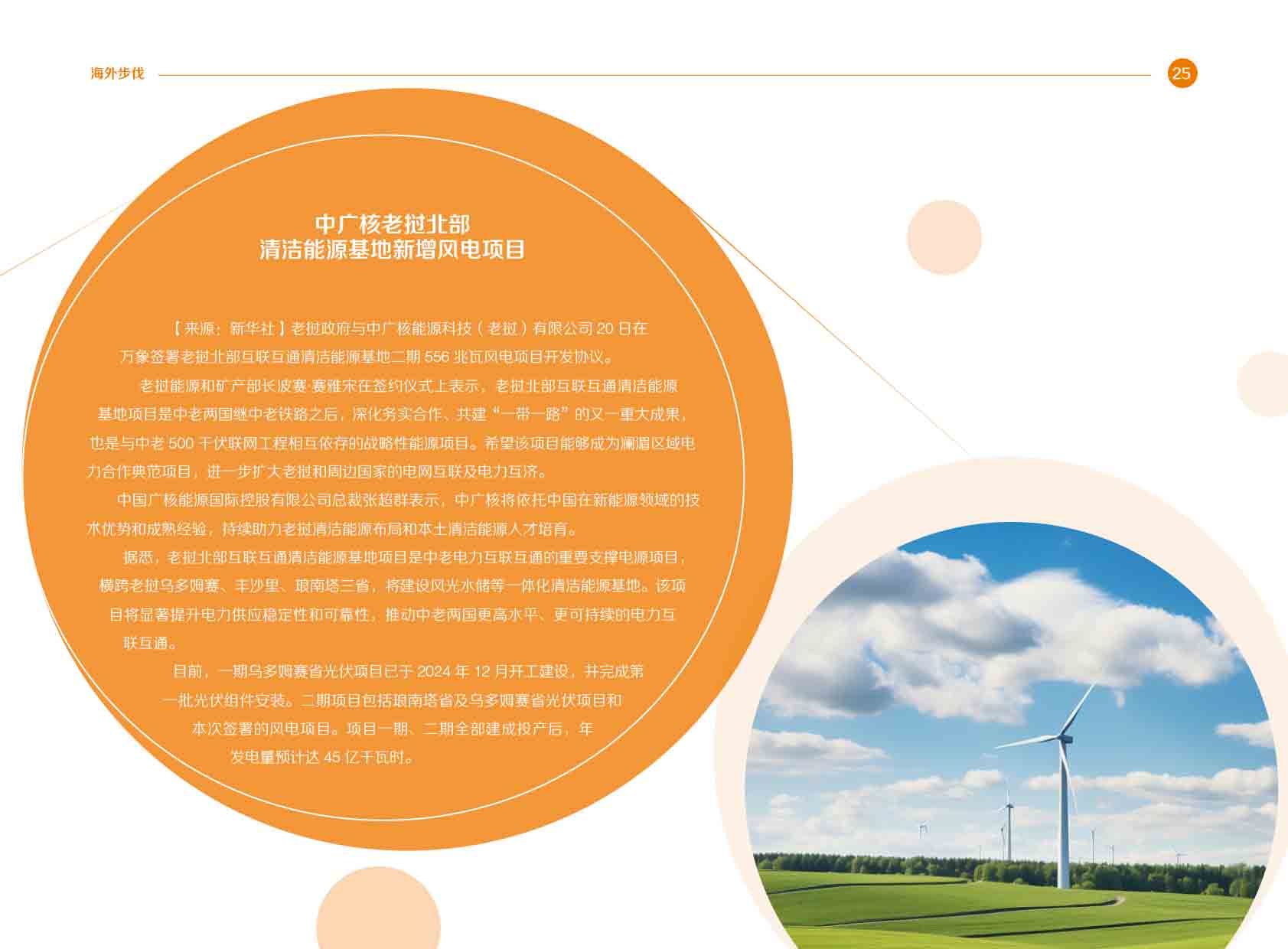 《电力国际信息参考》2025年3月下-28.jpg