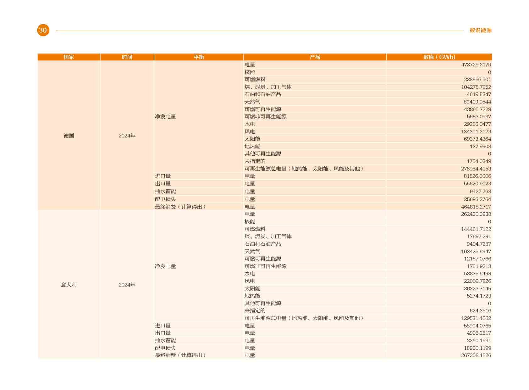 《电力国际信息参考》2025年3月下-33.jpg