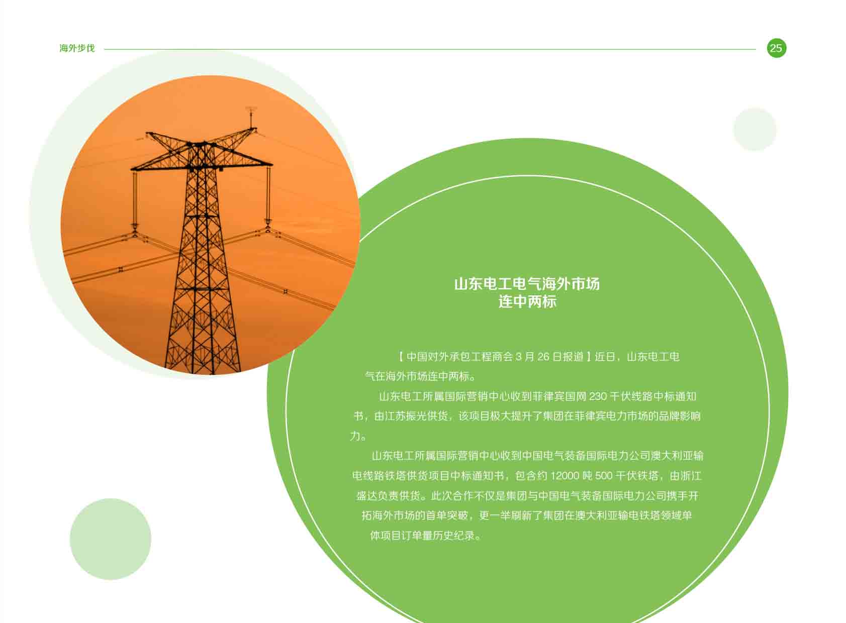 《电力国际信息参考》2025年4月上-28.jpg