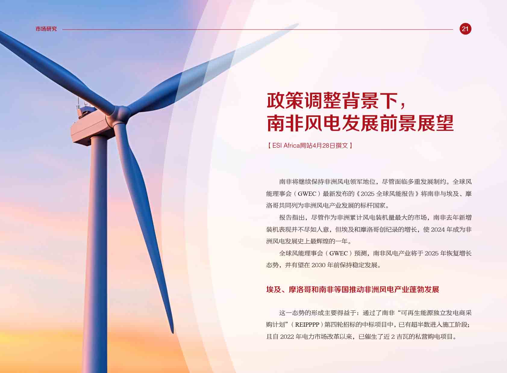 《电力国际信息参考》2025年5月上-24.jpg