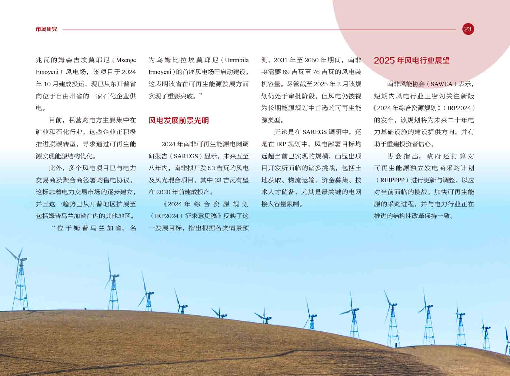 《电力国际信息参考》2025年5月上-26.jpg
