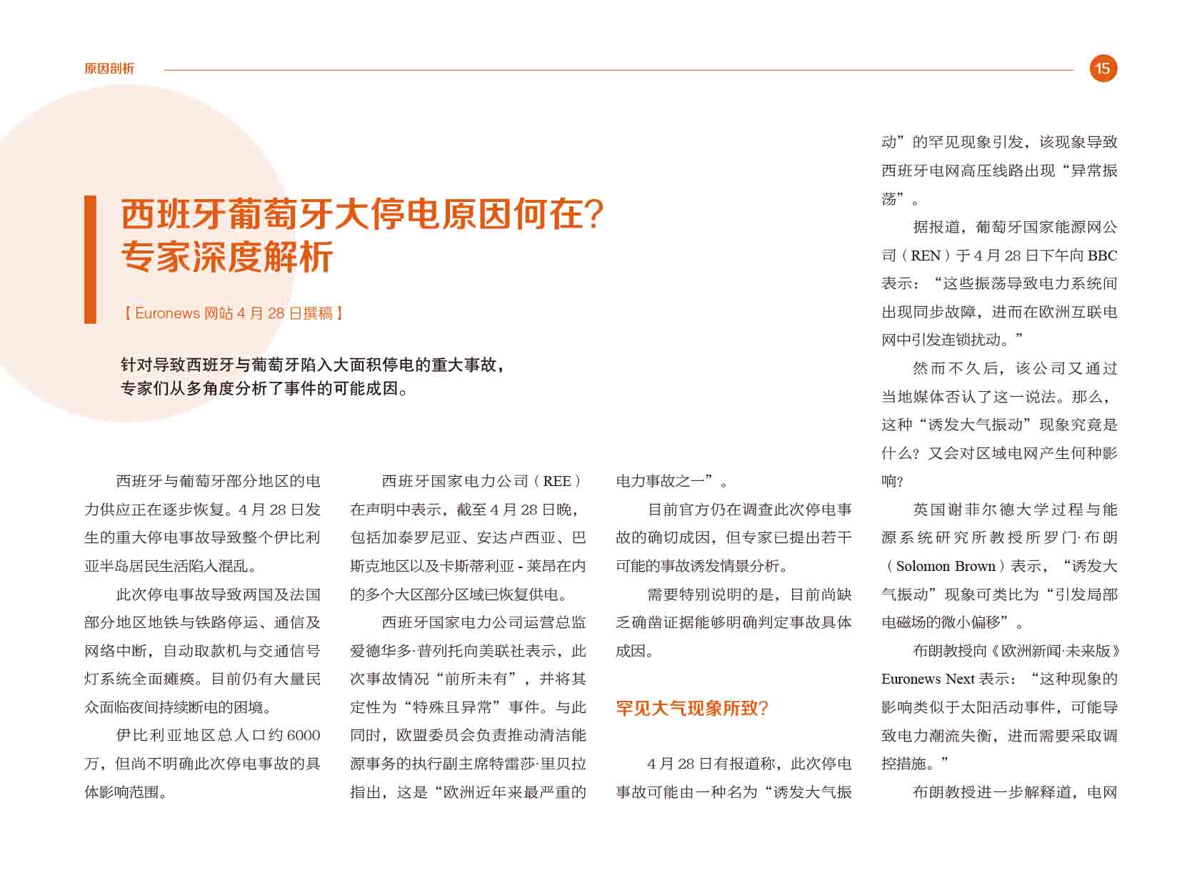 《电力国际信息参考》2024年5月专刊-19.jpg