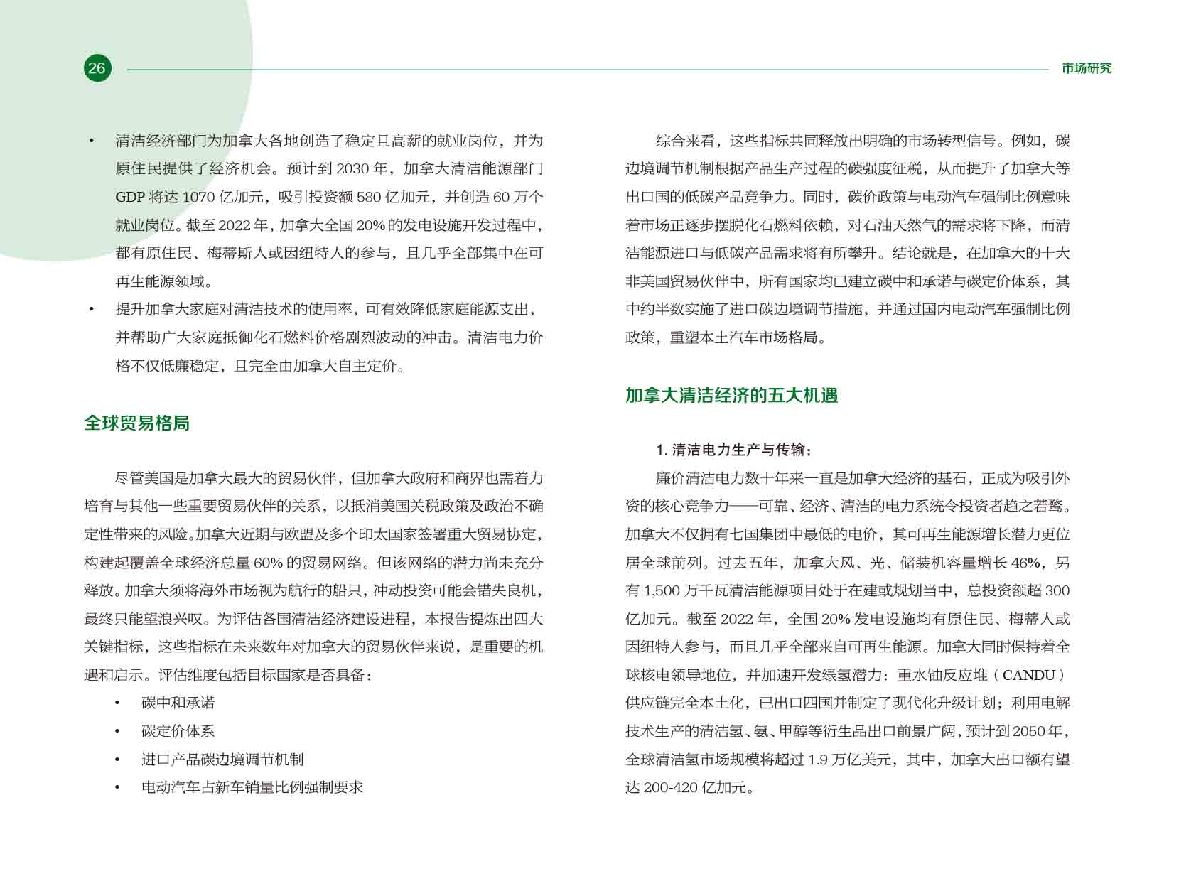 《电力国际信息参考》2025年5月下-29.jpg