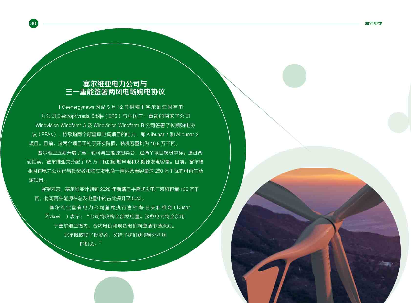 《电力国际信息参考》2025年5月下-33.jpg